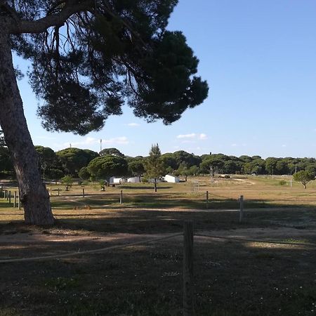 Beach Falesia Alfamar Albufeira Luaran gambar