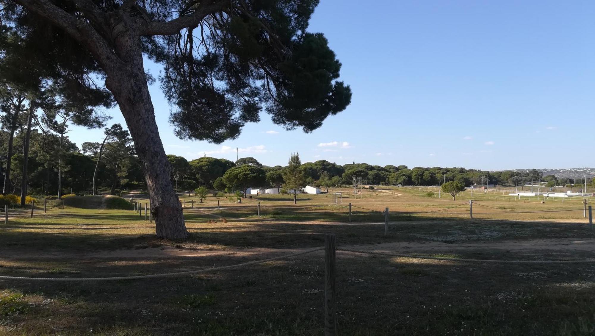 Beach Falesia Alfamar Albufeira Luaran gambar